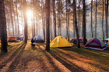 Camping